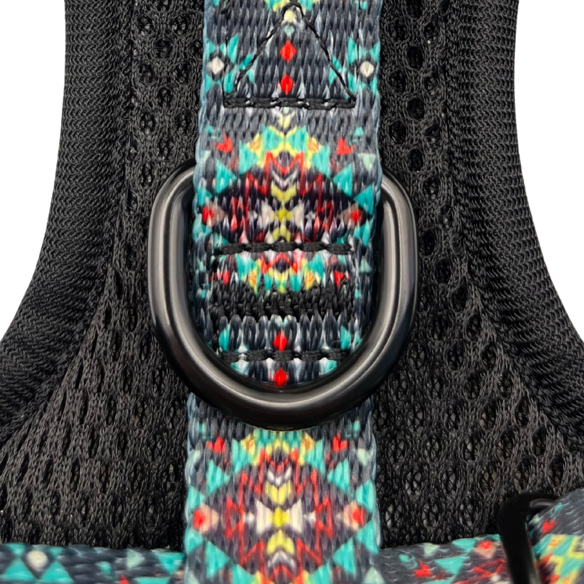 Midnight Emerald Adjustable Neck Harness