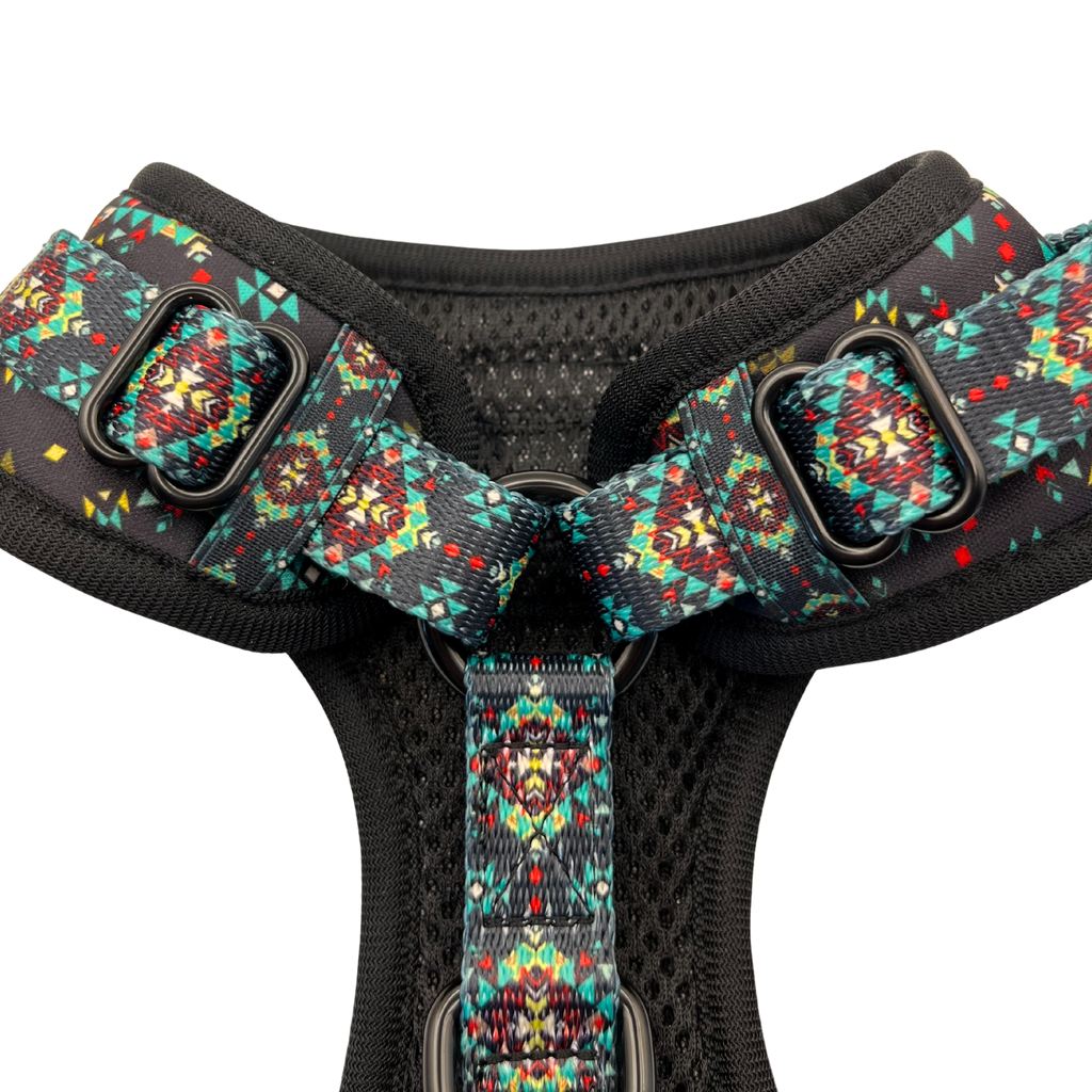 Midnight Emerald Adjustable Neck Harness